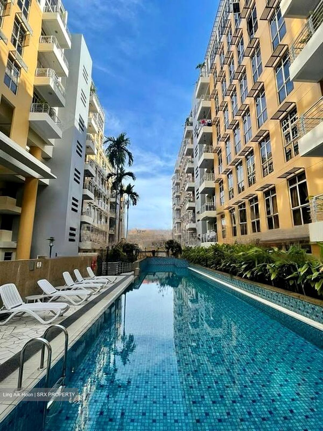 Sims Green (D14), Apartment #452221631
